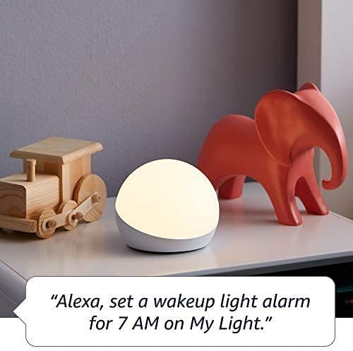 Echo Dot (5th Gen) Kids with Echo Glow