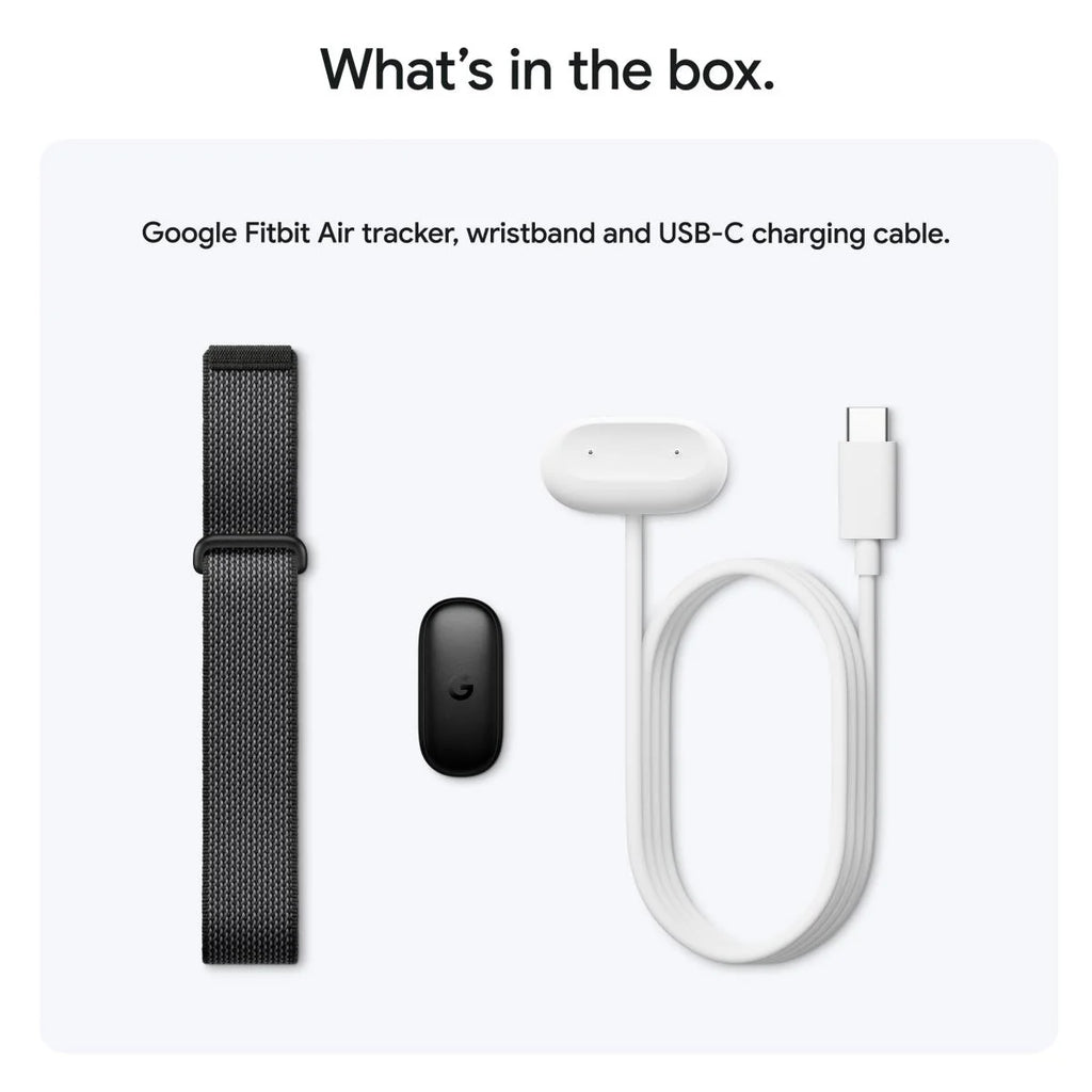 Google Fitbit Air (Berry)