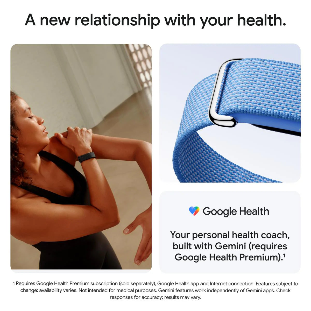 Google Fitbit Air (Berry)
