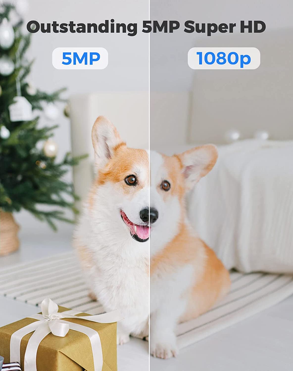 Reolink E1 Zoom - view 4