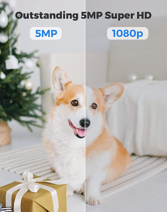 Reolink E1 Zoom
