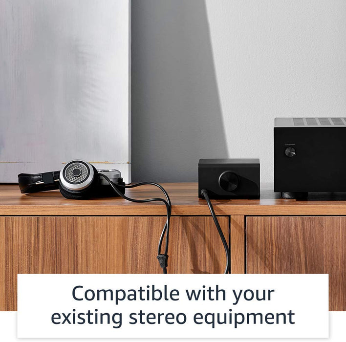 Amazon Echo Link